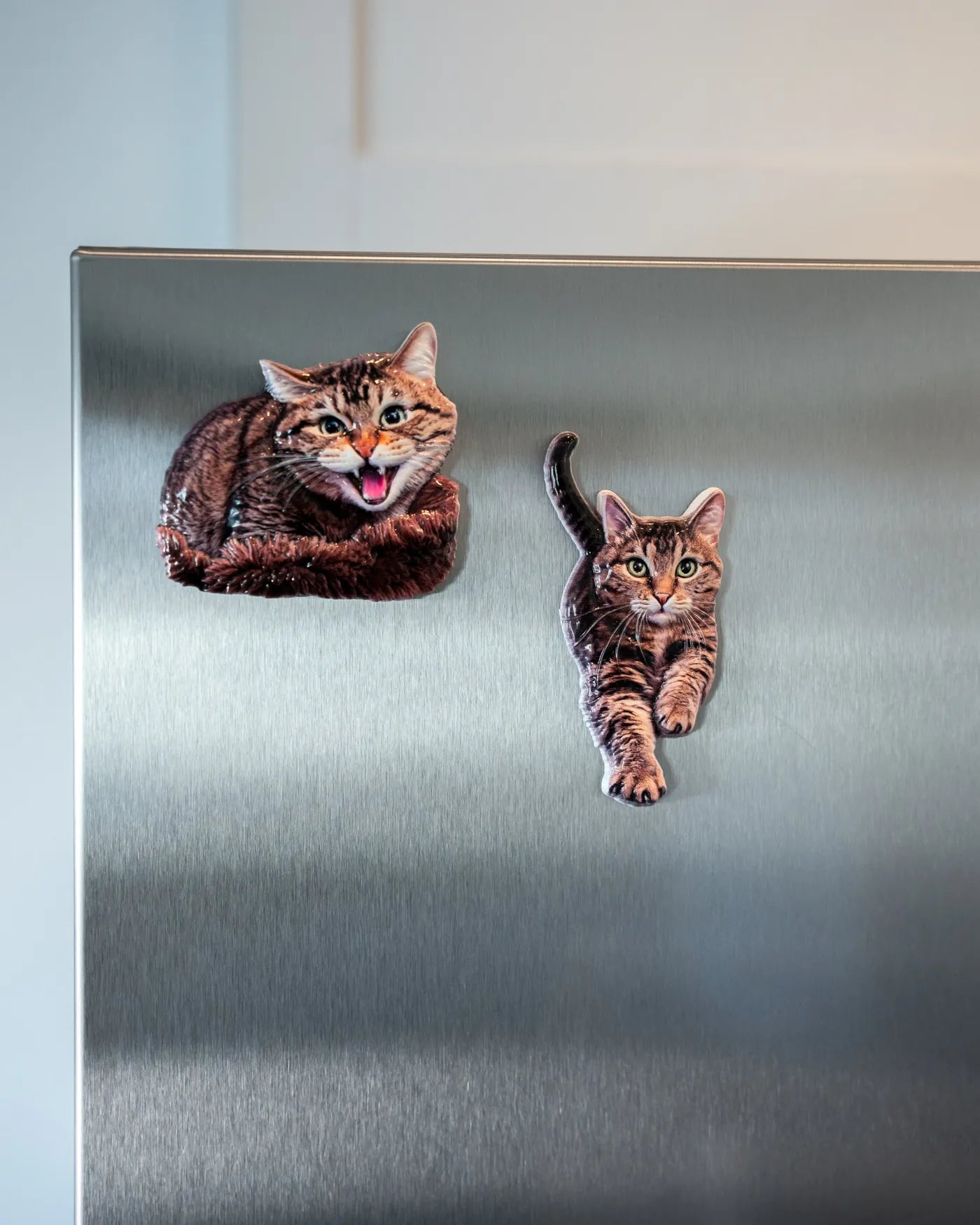 Two tabby cat magnets on a stainless steel fridge