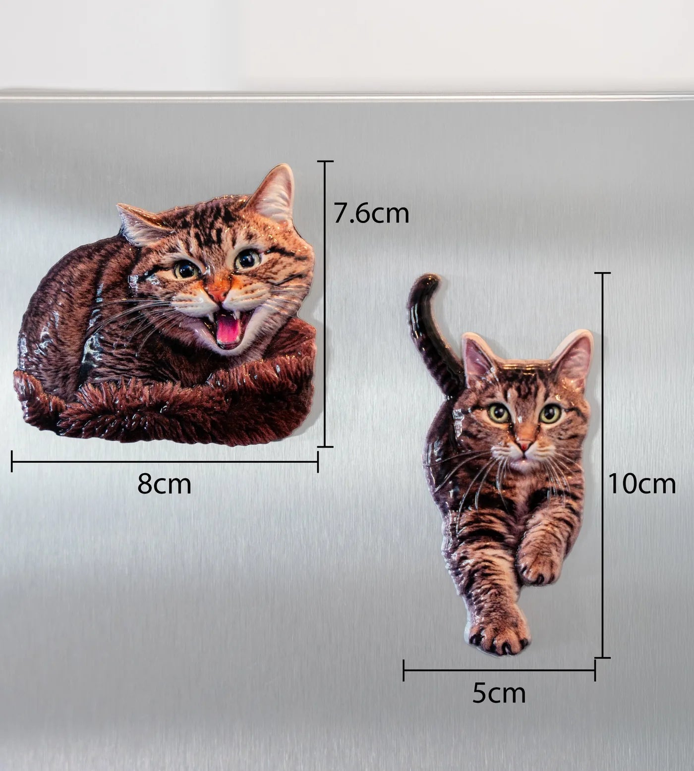 Two cat magnets on a fridge with measurements: 8 × 7.6 cm and 5 × 10 cm